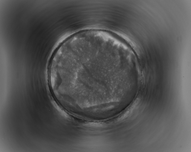 X0000087060998200705161008