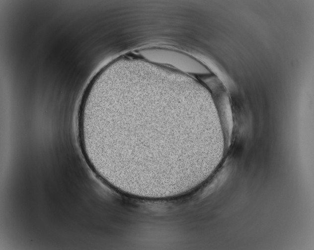 X0000087060999200705161008