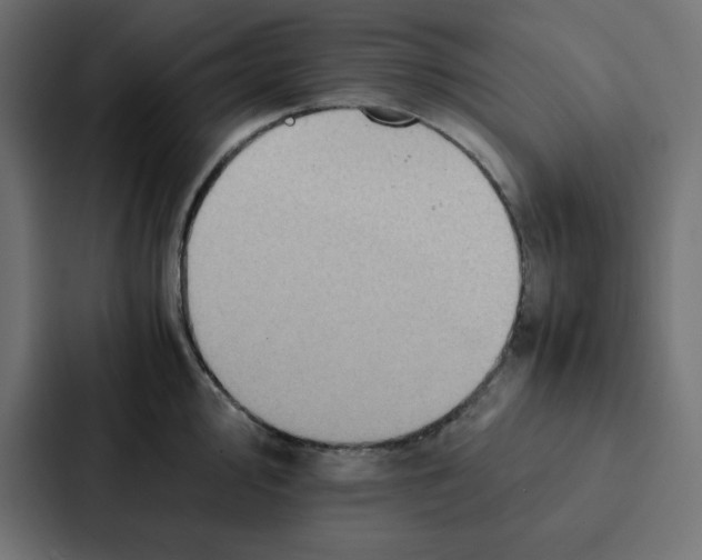 X0000087061000200705161008