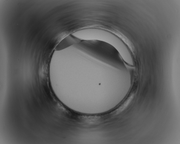 X0000087061001200705161008