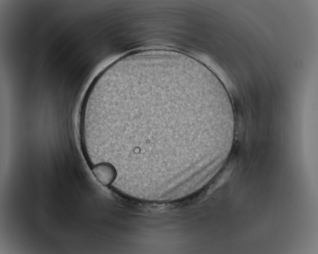 X0000087061003200705161008