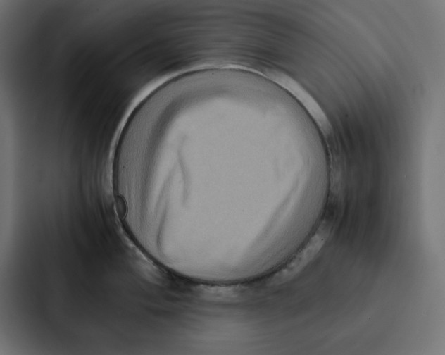 X0000087061004200705161008