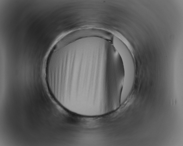 X0000087061005200705161008