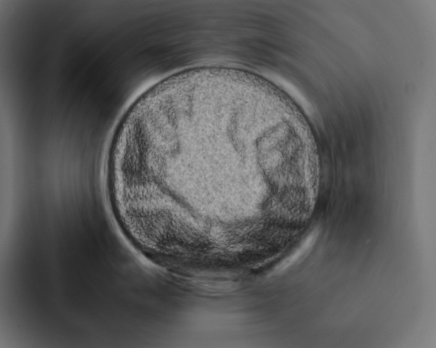 X0000087061007200705161008