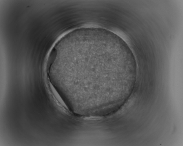 X0000087061008200705161008