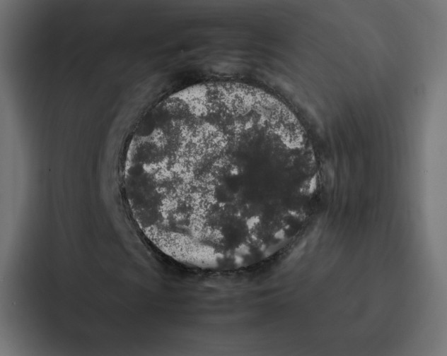 X0000087061009200705161007