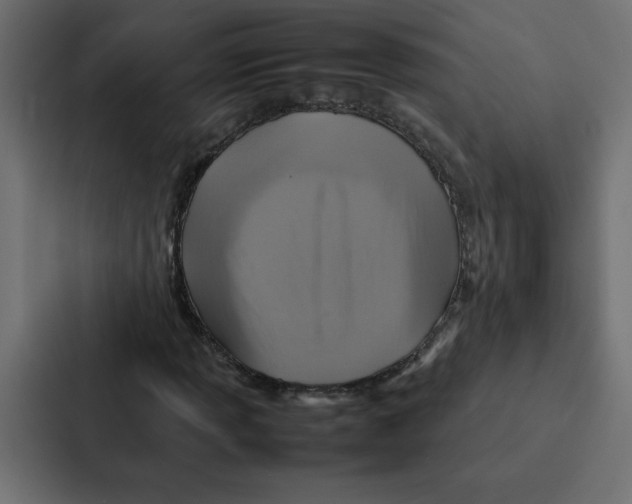 X0000087061013200705161007