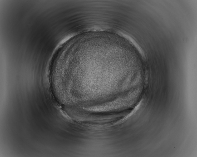 X0000087061018200705161007