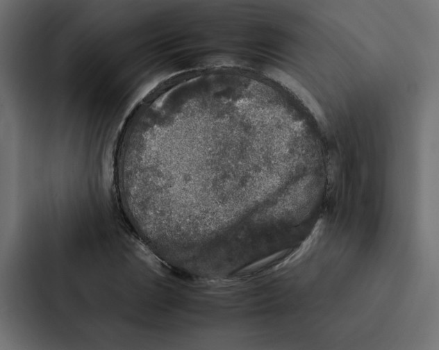 X0000087061023200705161007