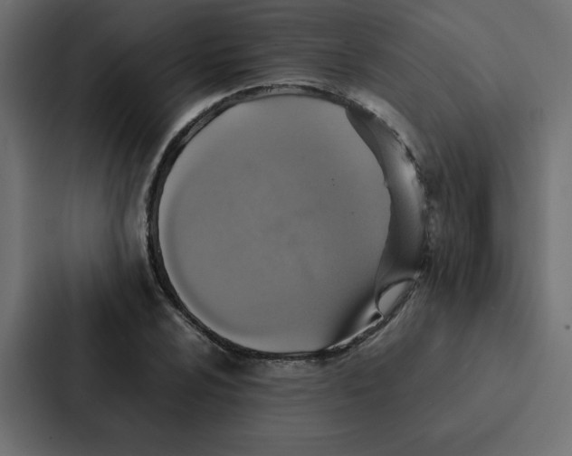 X0000087061024200705161007