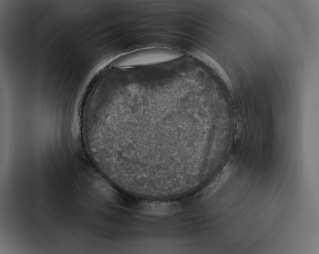 X0000087061027200705161008