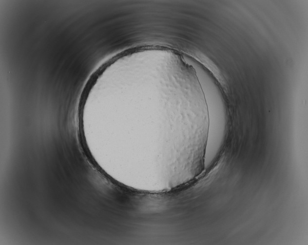 X0000087061028200705161008