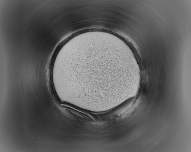 X0000087061029200705161008