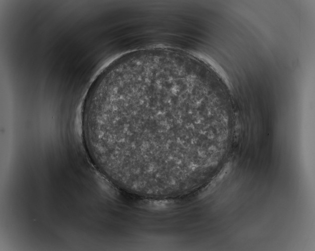 X0000087061031200705161008