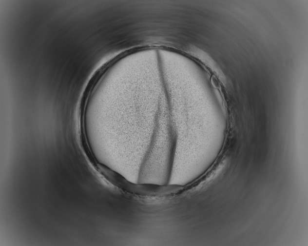 X0000087061032200705161008