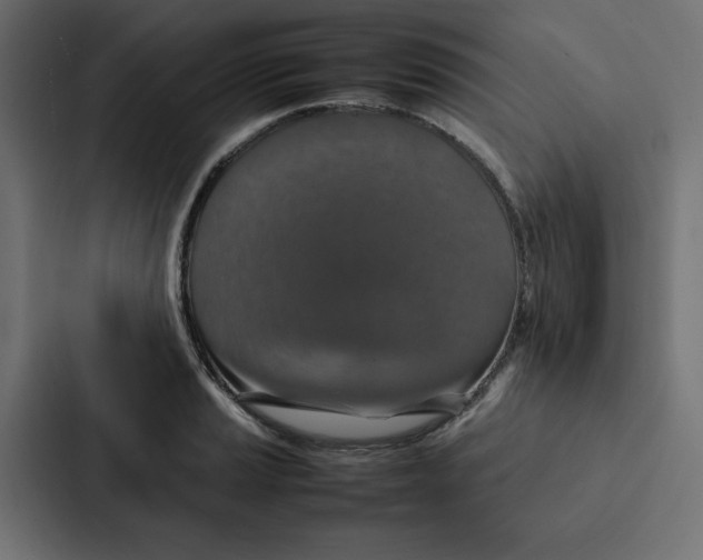 X0000087061037200705161008