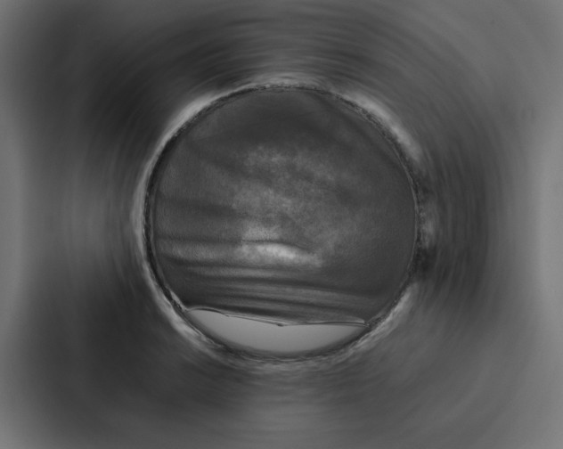 X0000087061038200705161008