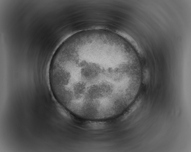 X0000087061039200705161008