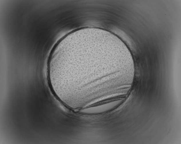 X0000087061040200705161008