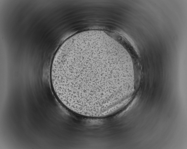 X0000087061041200705161008