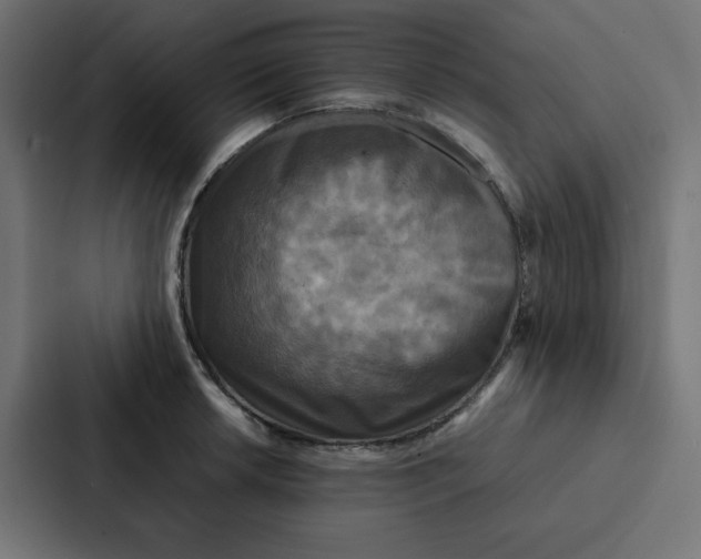 X0000087061042200705161008