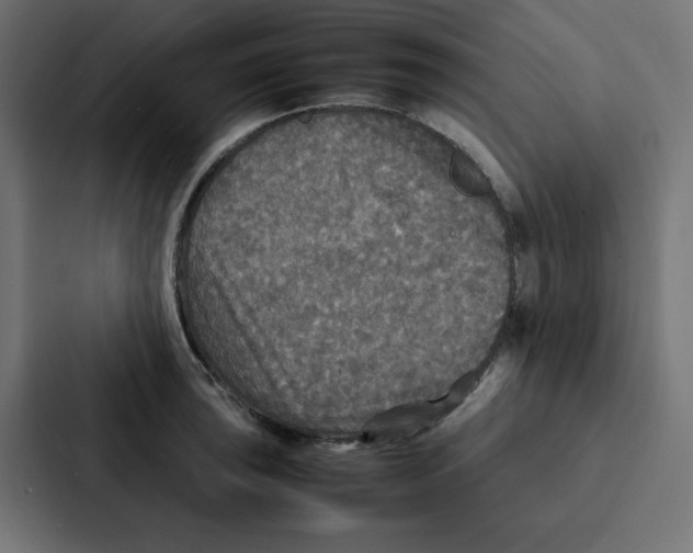 X0000087061043200705161008