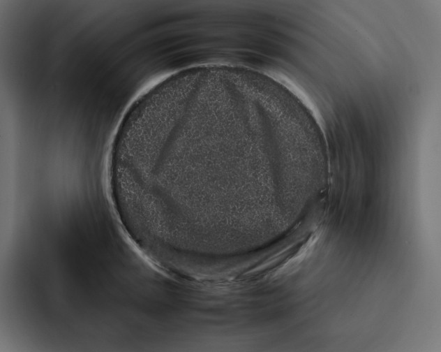 X0000087061045200705161008