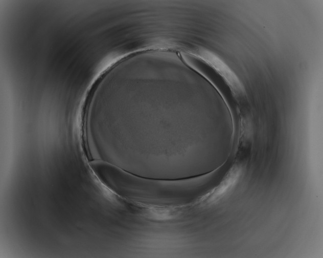 X0000087061046200705161008