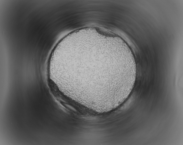 X0000087061048200705161008