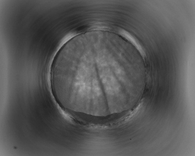 X0000087061050200705161008