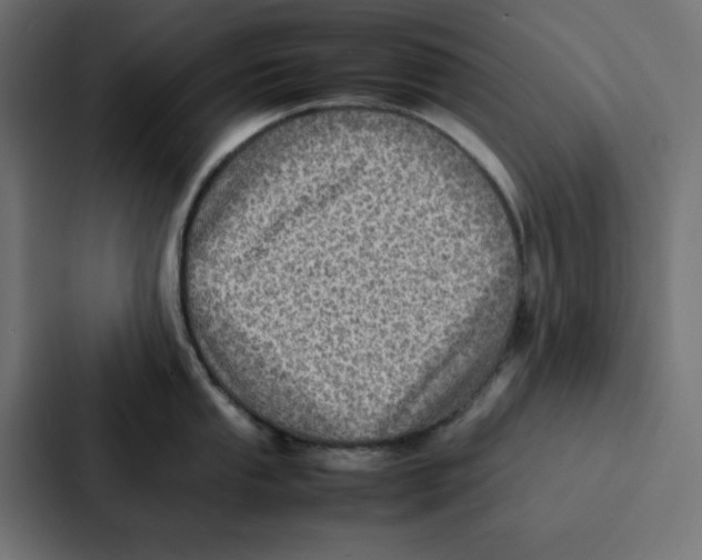 X0000087061053200705161008