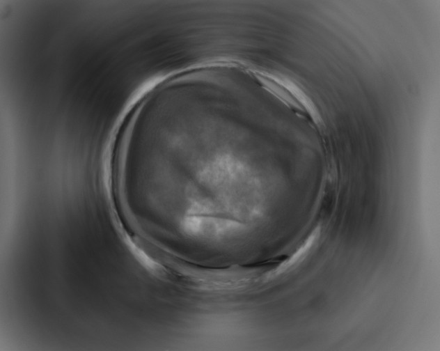 X0000087061054200705161008