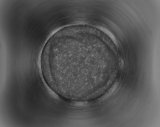 X0000087061055200705161008