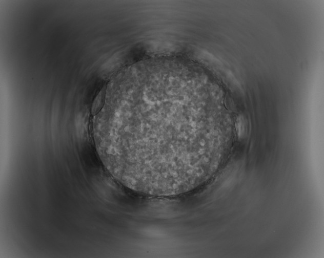 X0000087061059200705161007