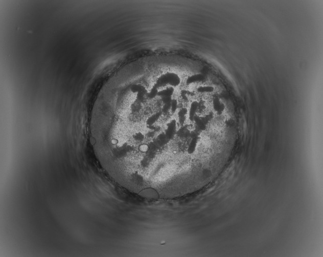 X0000087061063200705161007