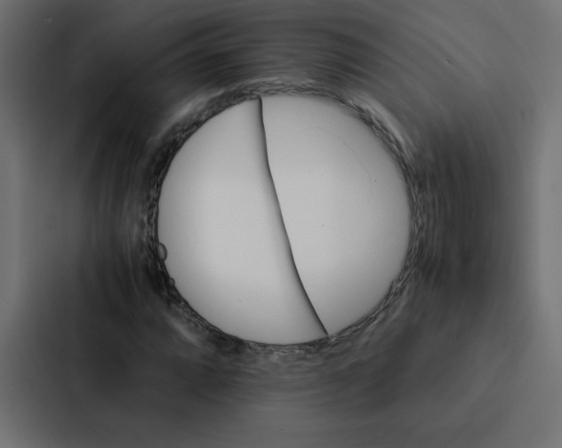 X0000087061064200705161007