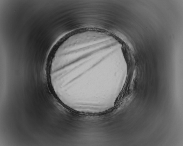 X0000087061068200705161007