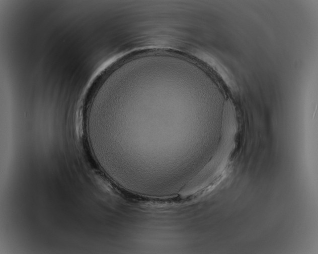 X0000087061069200705161007