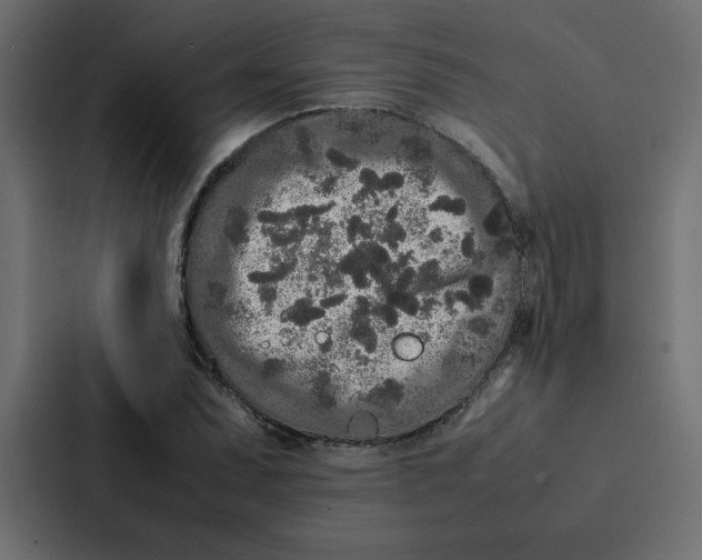 X0000087061071200705161007