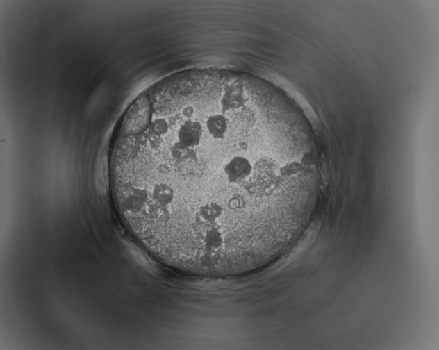 X0000087061075200705161007