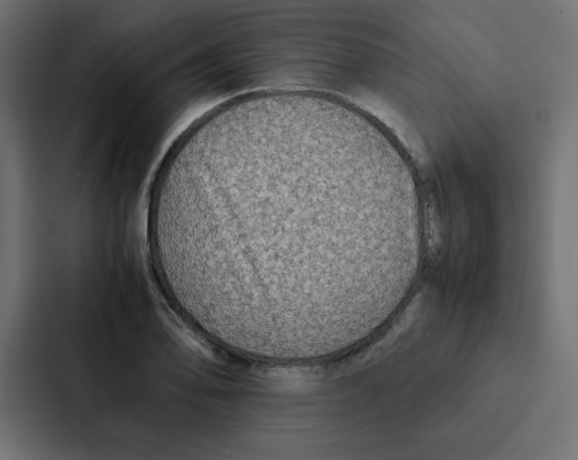 X0000087061078200705161007