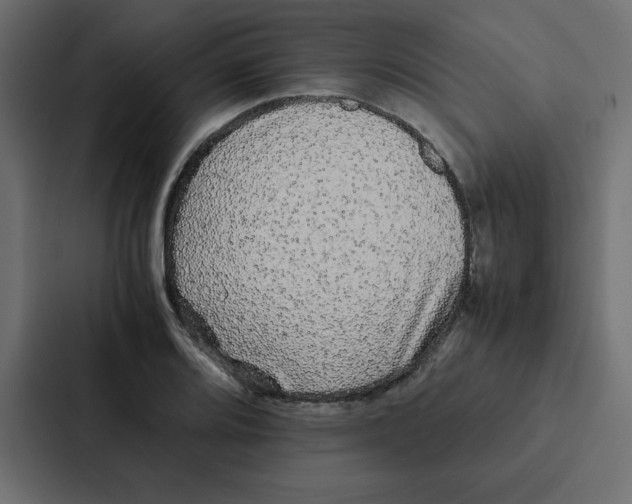 X0000087061080200705161007