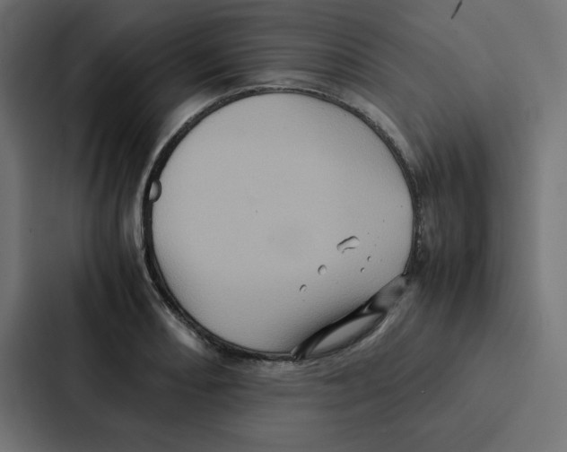 X0000087061082200705161007