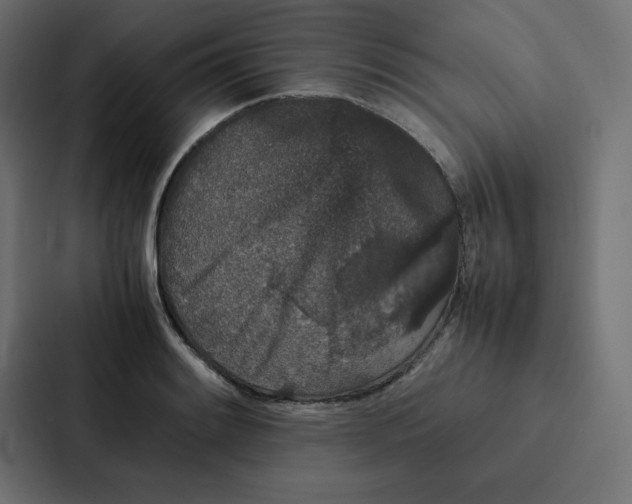 X0000087061084200705161007