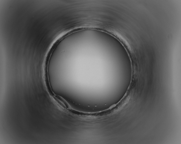 X0000087061085200705161007