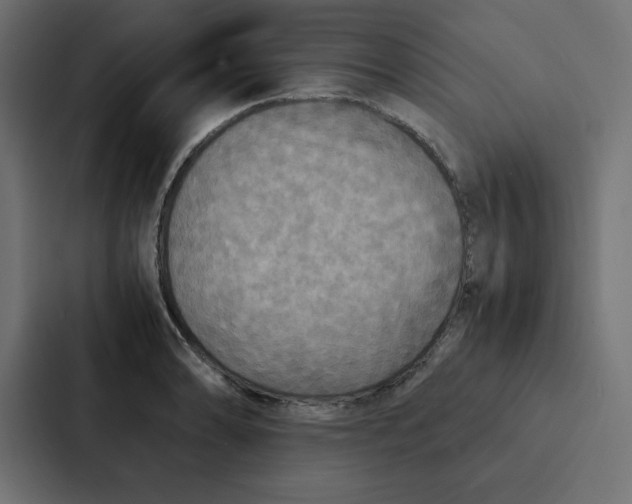 X0000087061086200705161007