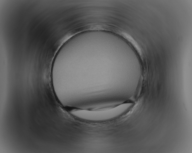 X0000087061089200705161007