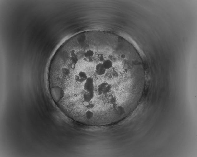 X0000087061091200705161007