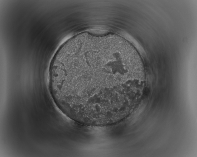 X0000087061095200705161007