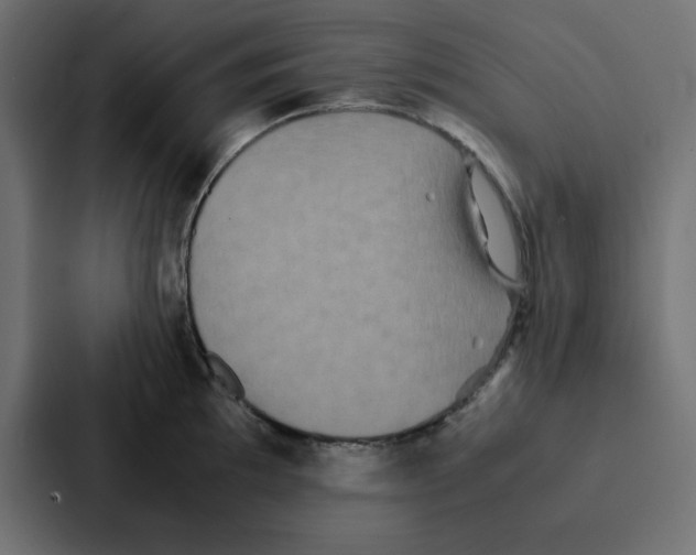 X0000087061097200705161007